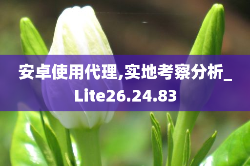 安卓使用代理,实地考察分析_Lite26.24.83