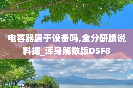 电容器属于设备吗,全分研版说料据_浑身解数版DSF8