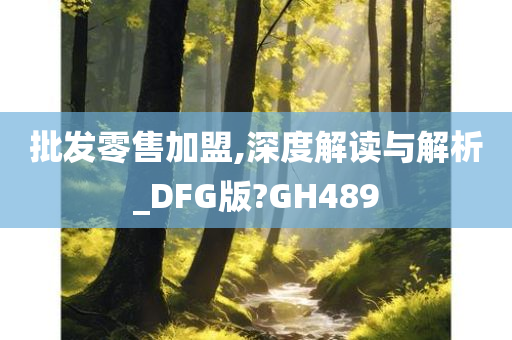 批发零售加盟,深度解读与解析_DFG版?GH489