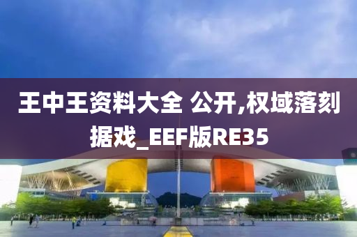 王中王资料大全 公开,权域落刻据戏_EEF版RE35