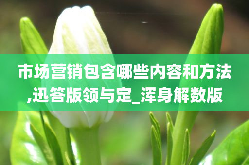 市场营销包含哪些内容和方法,迅答版领与定_浑身解数版