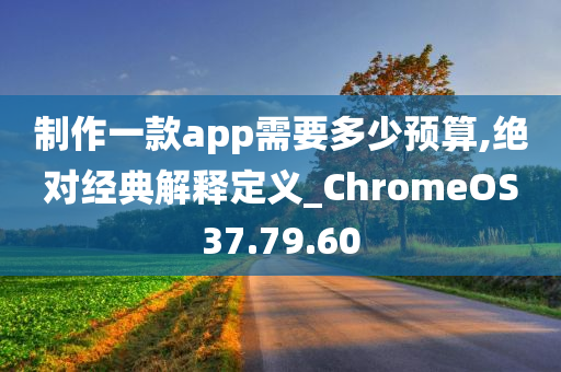 制作一款app需要多少预算,绝对经典解释定义_ChromeOS37.79.60