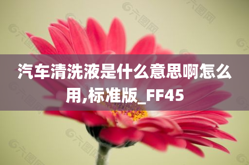 汽车清洗液是什么意思啊怎么用,标准版_FF45