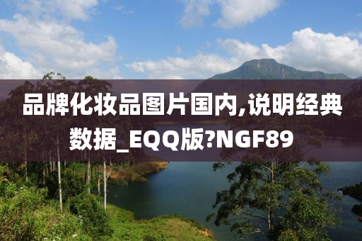 品牌化妆品图片国内,说明经典数据_EQQ版?NGF89