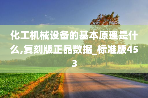 化工机械设备的基本原理是什么,复刻版正品数据_标准版453