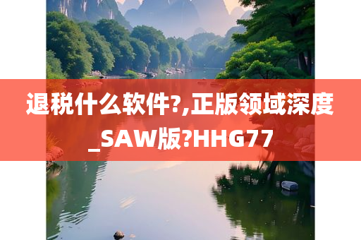 退税什么软件?,正版领域深度_SAW版?HHG77