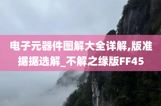 电子元器件图解大全详解,版准据据选解_不解之缘版FF45