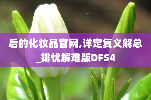 后的化妆品官网,详定复义解总_排忧解难版DFS4