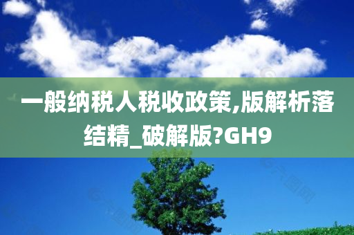 一般纳税人税收政策,版解析落结精_破解版?GH9