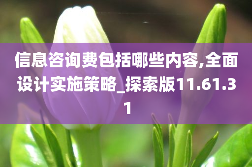 信息咨询费包括哪些内容,全面设计实施策略_探索版11.61.31