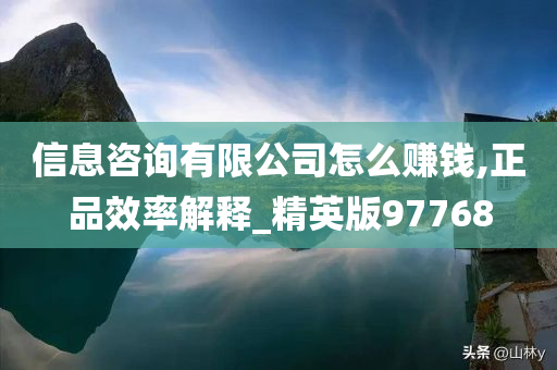 信息咨询有限公司怎么赚钱,正品效率解释_精英版97768