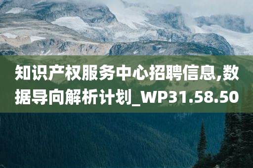 知识产权服务中心招聘信息,数据导向解析计划_WP31.58.50