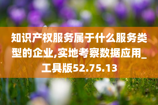 知识产权服务属于什么服务类型的企业,实地考察数据应用_工具版52.75.13