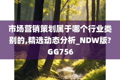 市场营销策划属于哪个行业类别的,精选动态分析_NDW版?GG756