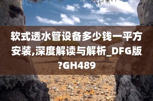 软式透水管设备多少钱一平方安装,深度解读与解析_DFG版?GH489