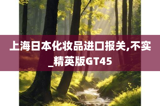 上海日本化妆品进口报关,不实_精英版GT45