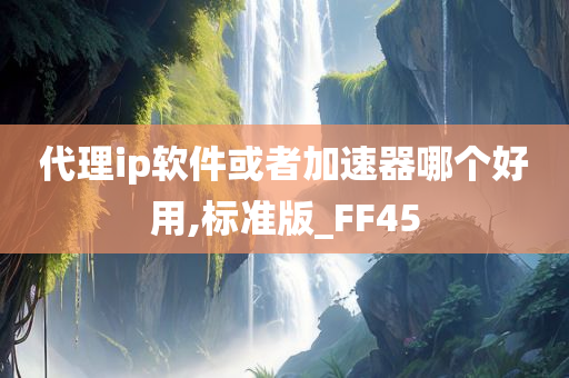 代理ip软件或者加速器哪个好用,标准版_FF45