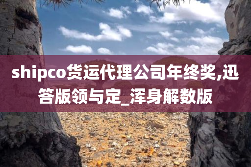 shipco货运代理公司年终奖,迅答版领与定_浑身解数版