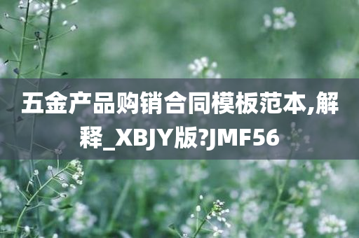 五金产品购销合同模板范本,解释_XBJY版?JMF56