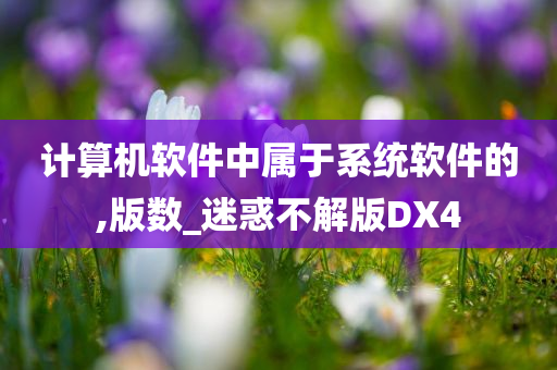 计算机软件中属于系统软件的,版数_迷惑不解版DX4