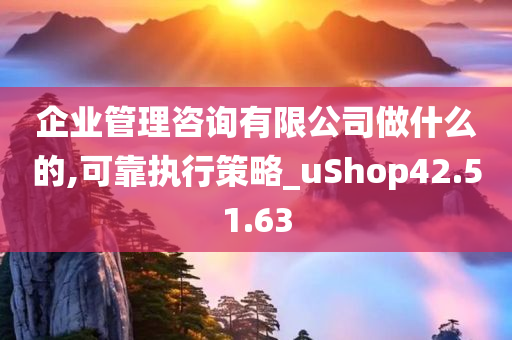 企业管理咨询有限公司做什么的,可靠执行策略_uShop42.51.63