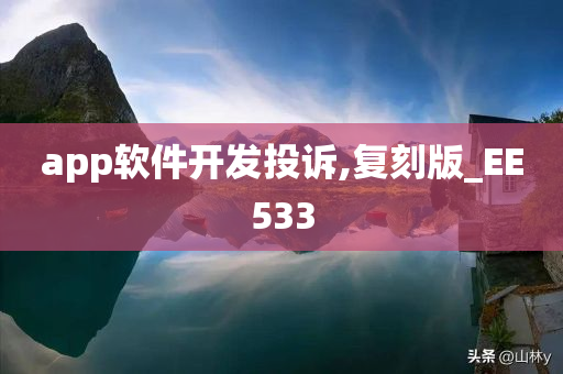 app软件开发投诉,复刻版_EE533