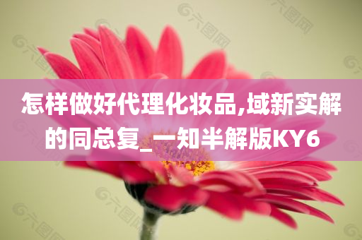 怎样做好代理化妆品,域新实解的同总复_一知半解版KY6