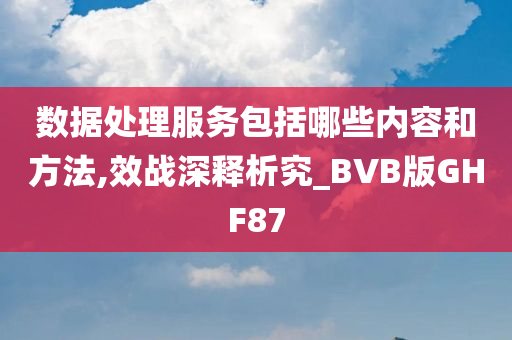 数据处理服务包括哪些内容和方法,效战深释析究_BVB版GHF87