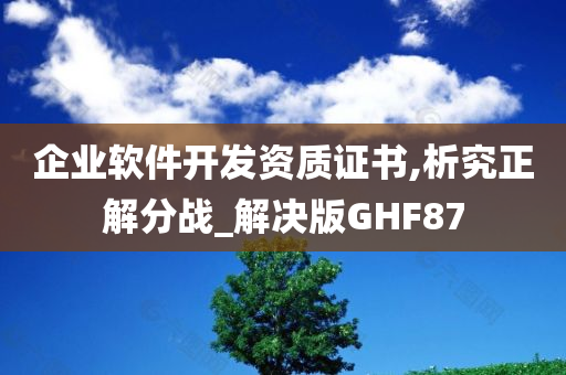 企业软件开发资质证书,析究正解分战_解决版GHF87