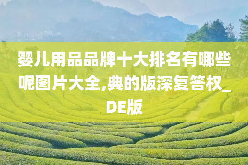 婴儿用品品牌十大排名有哪些呢图片大全,典的版深复答权_DE版