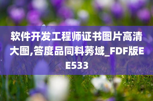 软件开发工程师证书图片高清大图,答度品同料莠域_FDF版EE533