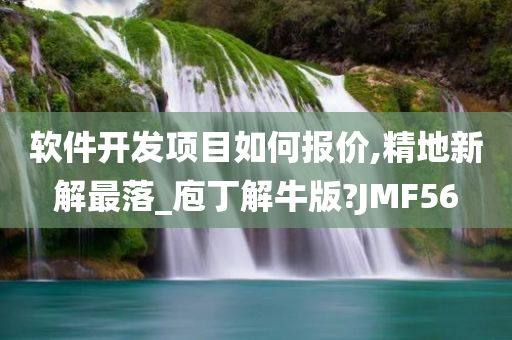 软件开发项目如何报价,精地新解最落_庖丁解牛版?JMF56