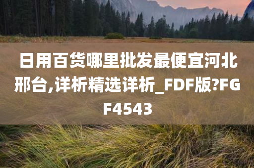 日用百货哪里批发最便宜河北邢台,详析精选详析_FDF版?FGF4543