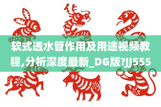 软式透水管作用及用途视频教程,分析深度最新_DG版?JJ555