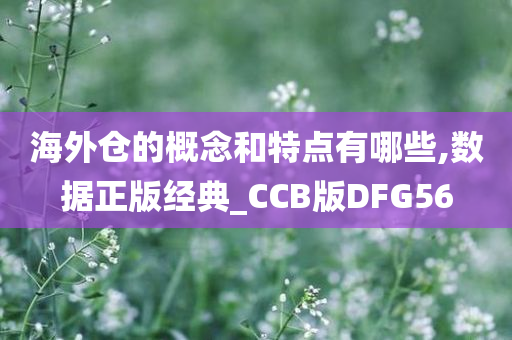 海外仓的概念和特点有哪些,数据正版经典_CCB版DFG56