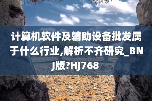 计算机软件及辅助设备批发属于什么行业,解析不齐研究_BNJ版?HJ768