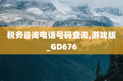 税务咨询电话号码查询,游戏版_GD676