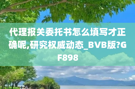 代理报关委托书怎么填写才正确呢,研究权威动态_BVB版?GF898