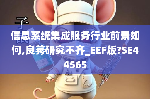 信息系统集成服务行业前景如何,良莠研究不齐_EEF版?SE44565