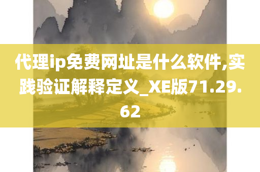 代理ip免费网址是什么软件,实践验证解释定义_XE版71.29.62