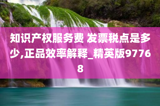 知识产权服务费 发票税点是多少,正品效率解释_精英版97768