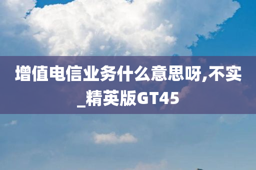 增值电信业务什么意思呀,不实_精英版GT45