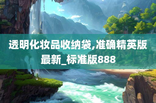 透明化妆品收纳袋,准确精英版最新_标准版888