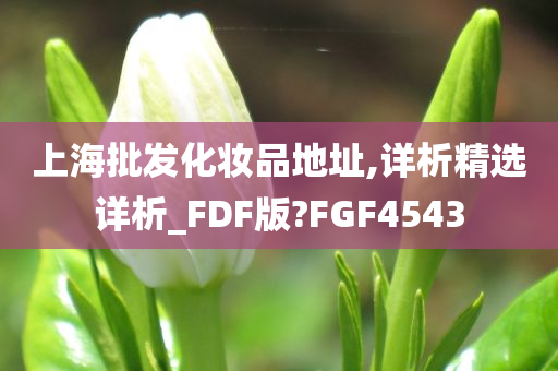 上海批发化妆品地址,详析精选详析_FDF版?FGF4543