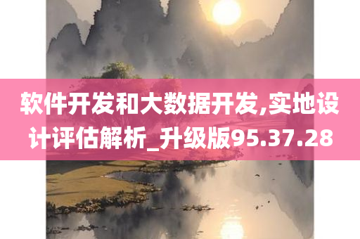 软件开发和大数据开发,实地设计评估解析_升级版95.37.28