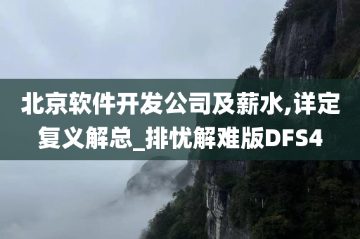 北京软件开发公司及薪水,详定复义解总_排忧解难版DFS4