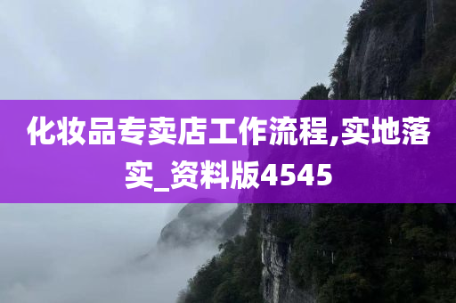 化妆品专卖店工作流程,实地落实_资料版4545