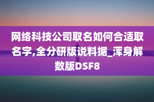 网络科技公司取名如何合适取名字,全分研版说料据_浑身解数版DSF8