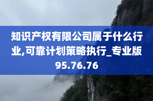 知识产权有限公司属于什么行业,可靠计划策略执行_专业版95.76.76