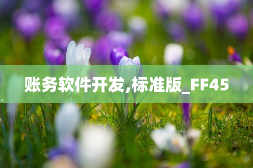 账务软件开发,标准版_FF45